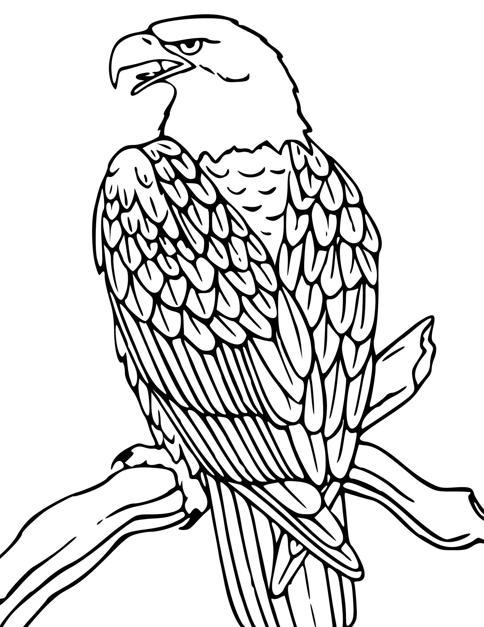 Coloring Page Of Eagle Unleash Your Creativity With Majestic Birds